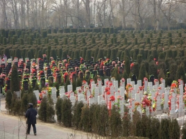 万桐园公墓墓区